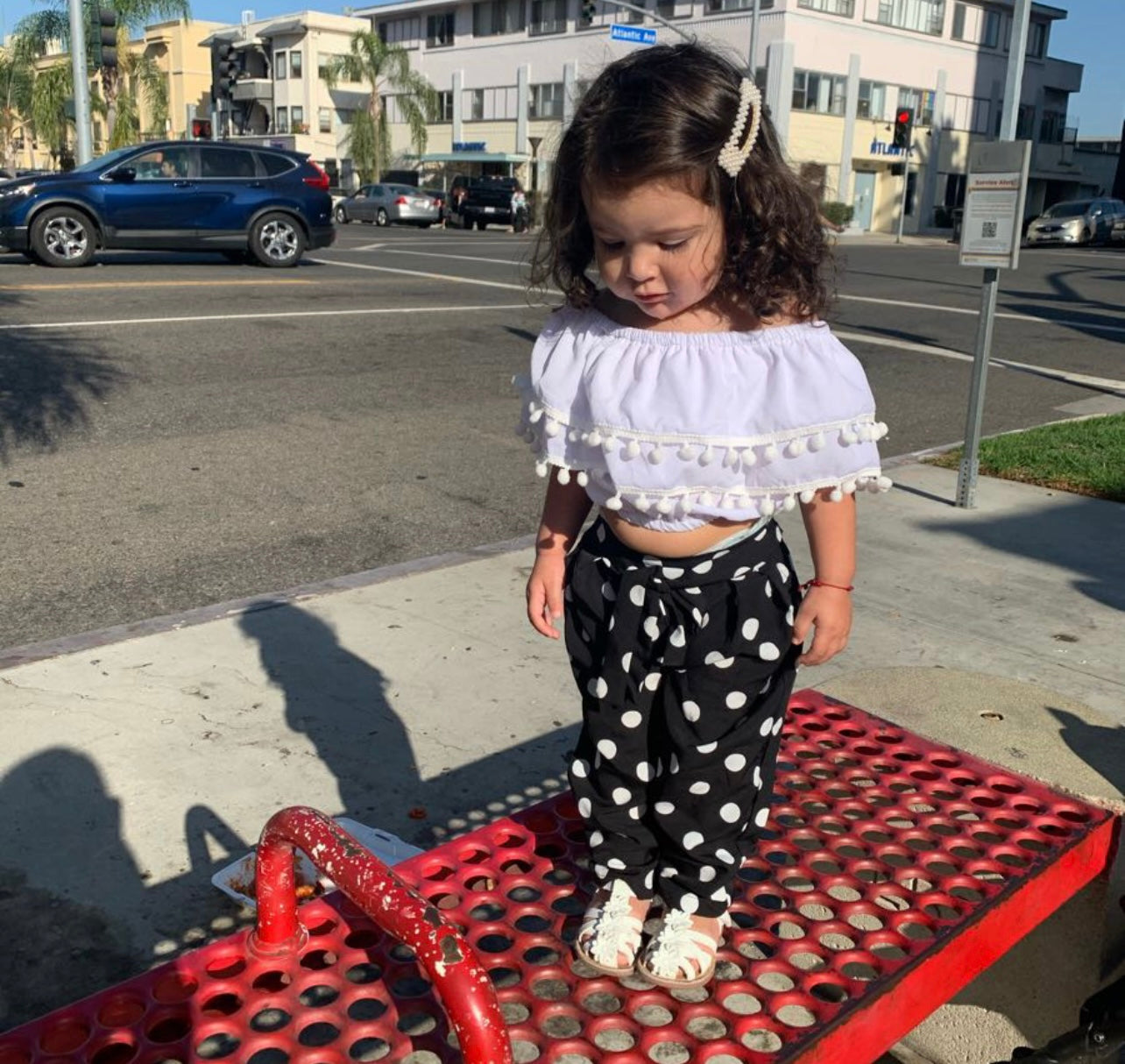 Polka Pom Pom Set